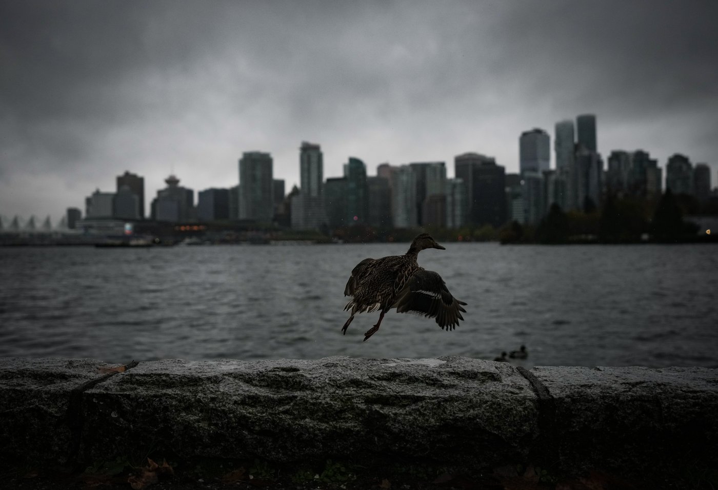 Rainfall warning in effect for parts of Metro Vancouver
